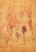 LEONARDO da Vinci, Muscles and bone of leg and Hufte